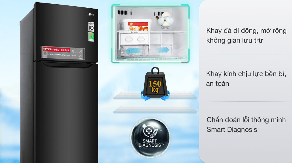 Tủ lạnh LG Inverter 209 lít GN-M208BL - 17