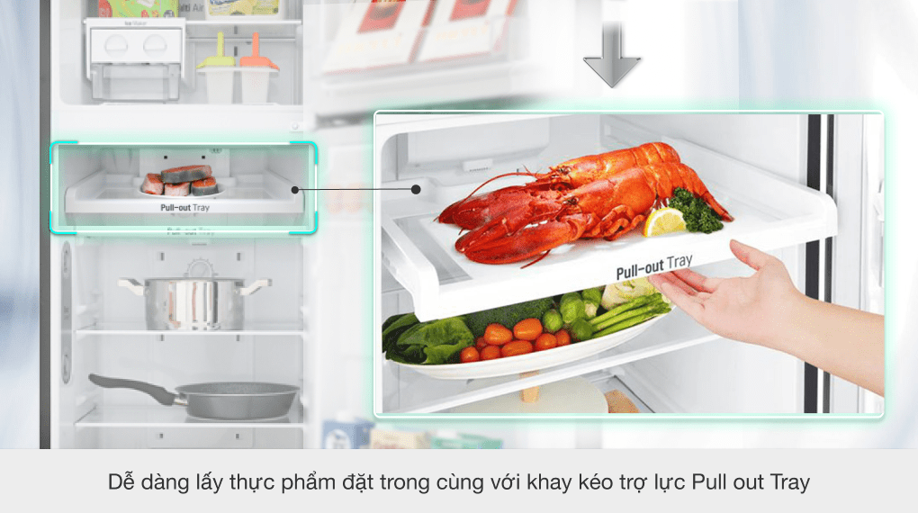 Tủ lạnh LG Inverter 209 lít GN-M208BL