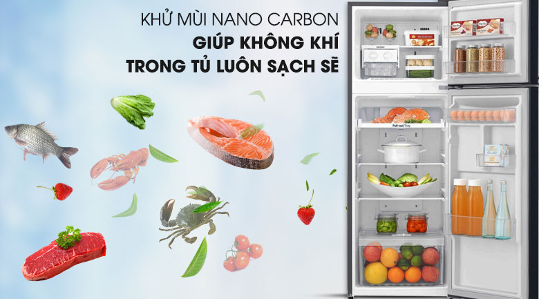 Công nghệ khử mùi Nano Cacbon - Tủ lạnh LG Inverter 208 lít GN-M208BL