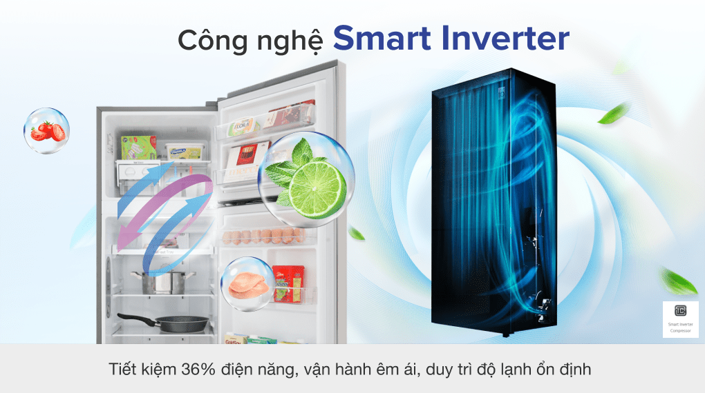 Tủ lạnh LG Inverter 209 lít GN-M208PS