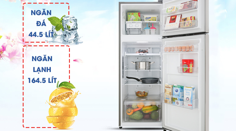 Tủ lạnh LG Inverter 209 lít GN-M208PS - dung tích sử dụng 209 lít