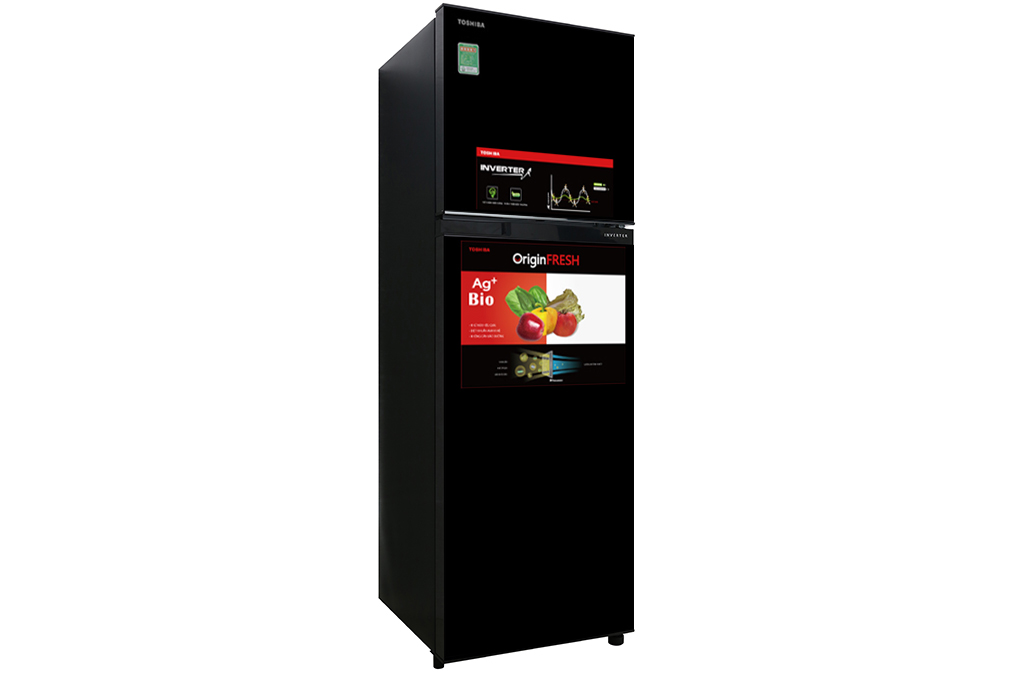 Tủ lạnh Toshiba Inverter 253 lít GR-B31VU UKG - 10