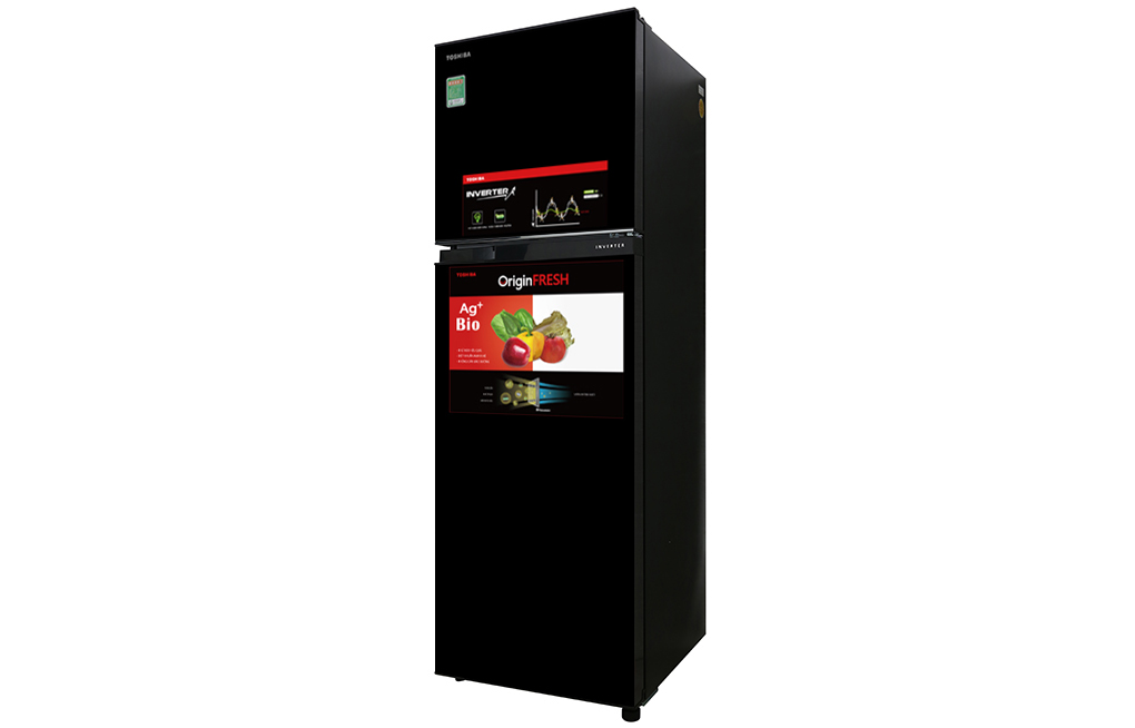 Tủ lạnh Toshiba Inverter 253 lít GR-B31VU UKG - 11