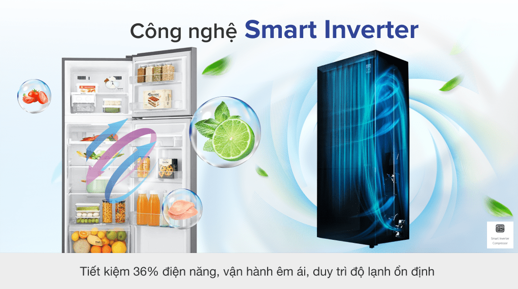 Tủ lạnh LG Inverter 255 lít GN-D255PS