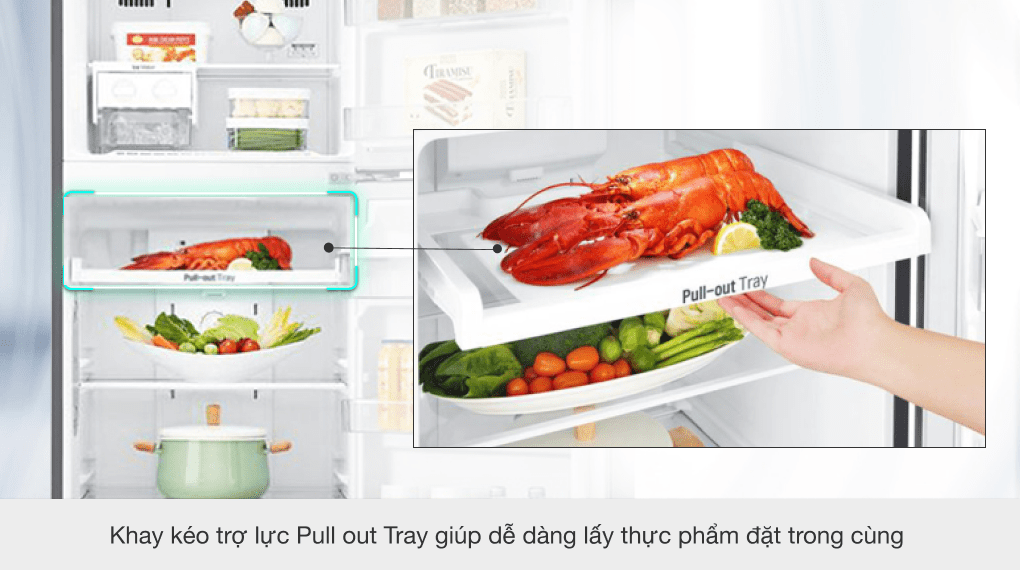 Tủ lạnh LG Inverter 255 lít GN-D255PS