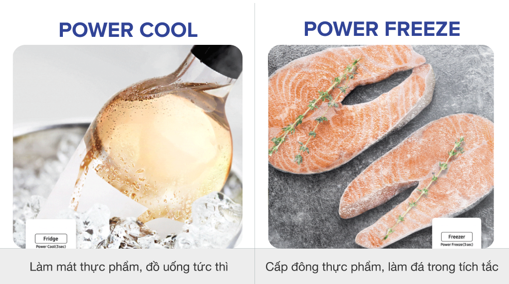 Tủ lạnh Samsung Inverter 655 lít RS62R50014G/SV