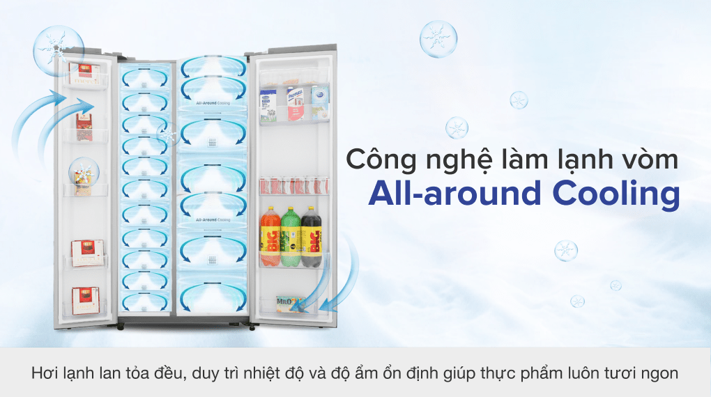 Tủ lạnh Samsung Inverter 655 lít RS62R50014G/SV