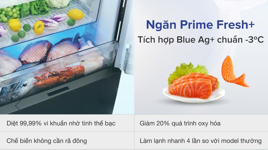 Tủ lạnh Panasonic Inverter 255 lít NR-BV280GKVN