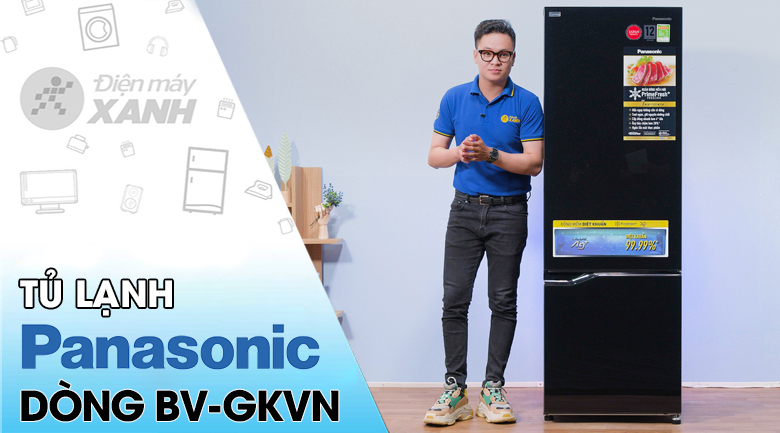 Tủ lạnh Panasonic Inverter 290 lít NR-BV320GKVN
