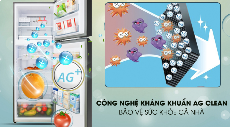 Tủ lạnh Panasonic Inverter 326 lít NR-BL351GKVN