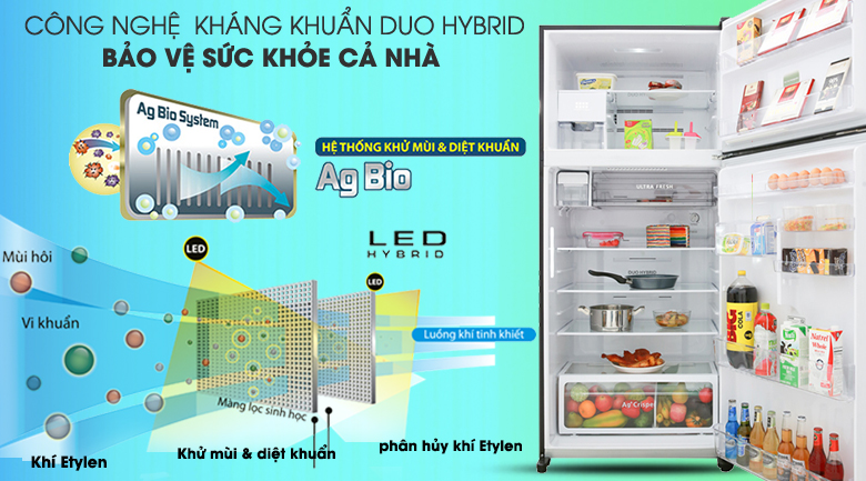 Tủ lạnh Toshiba Inverter 555 lít GR-AG58VA GG  - Khử mùi, kháng khuẩn cao bởi công nghệ Duo Hybrid