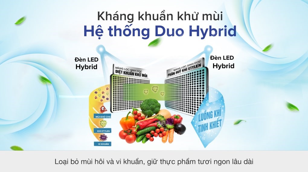 Tủ lạnh Toshiba Inverter 608 lít GR-AG66VA X