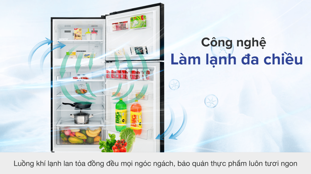 Tủ lạnh LG Inverter 393 lít GN-B422WB