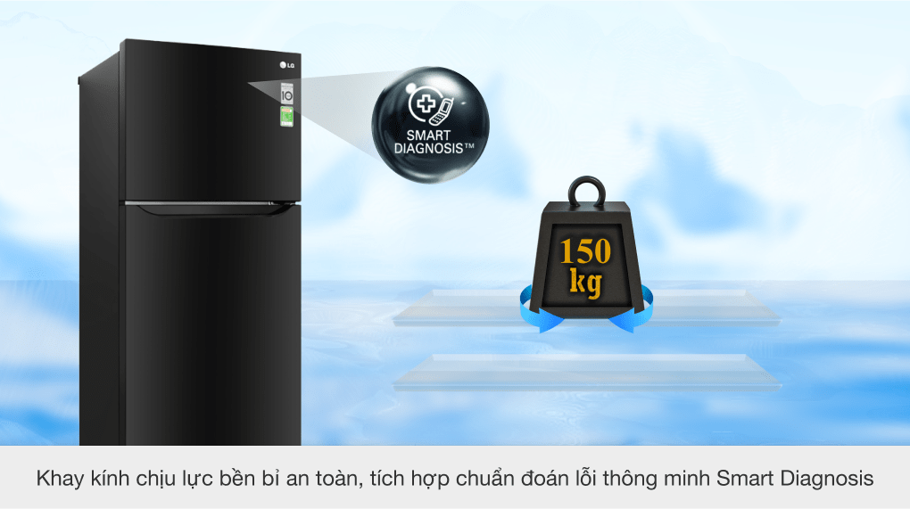 Tủ lạnh LG Inverter 393 lít GN-B422WB - 13