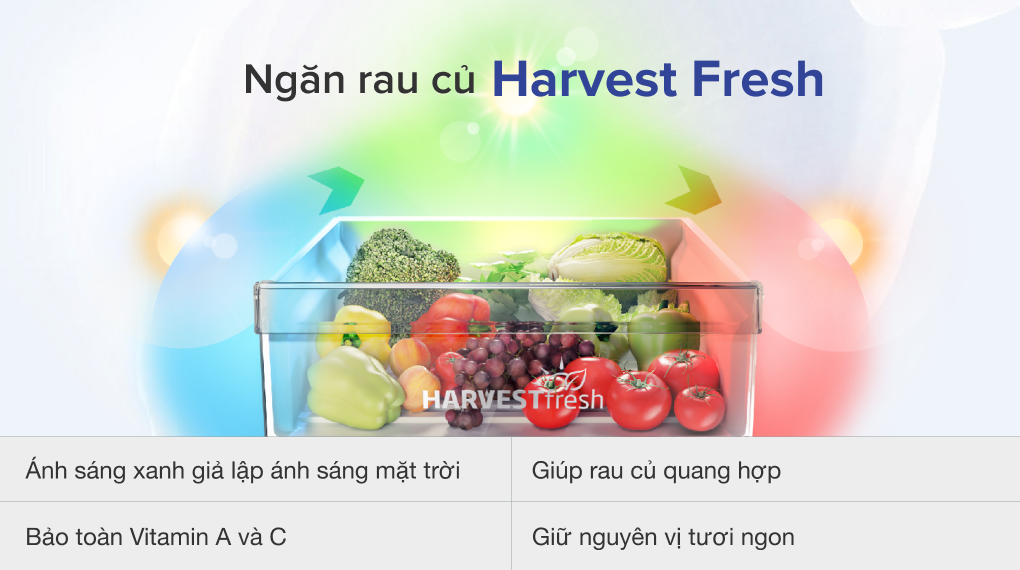 Tủ lạnh Beko Inverter 340 lít RDNT371I50VS