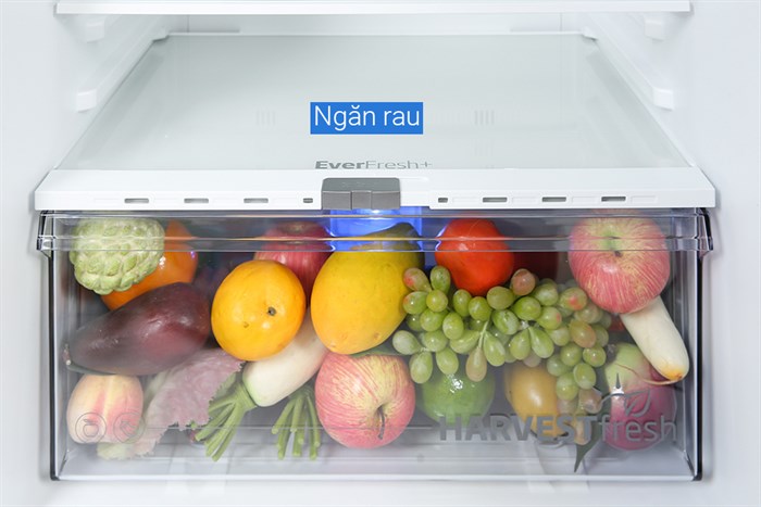 Tủ lạnh Beko Inverter 340 lít RDNT371E50VZK Màu Xám đậm