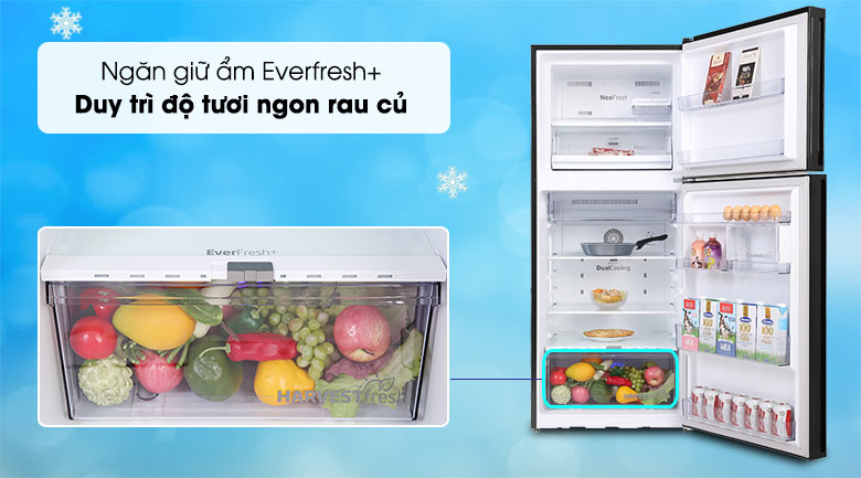 Tủ lạnh Beko Inverter 340 lít RDNT371E50VZGB - Ngăn rau rủ Everfresh+