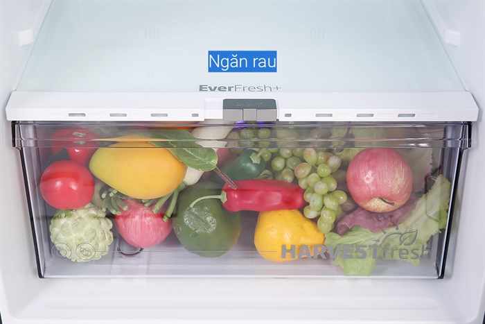 Tủ lạnh Beko Inverter 340 lít RDNT371E50VZGB Màu Đen