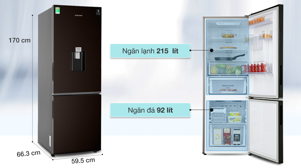 Tủ lạnh Samsung Inverter 307 lít RB30N4170BY/SV