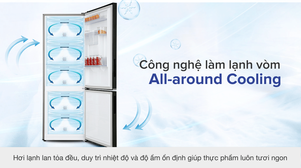 Tủ lạnh Samsung Inverter 307 lít RB30N4170BY/SV