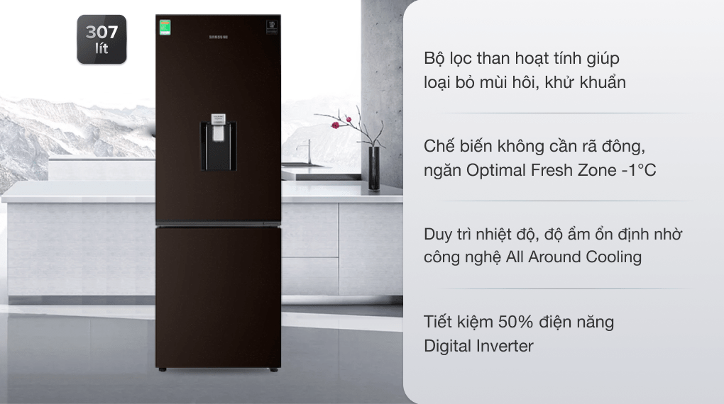 Tủ lạnh Samsung Inverter 307 lít RB30N4170BY/SV
