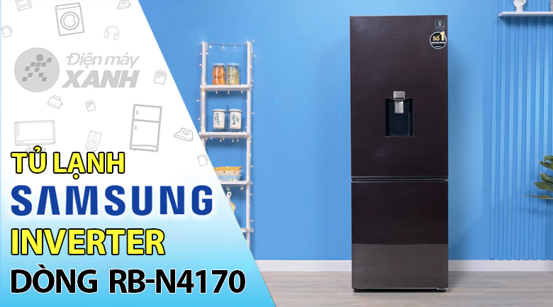 Tủ lạnh Samsung Inverter 307 lít RB30N4170BY/SV