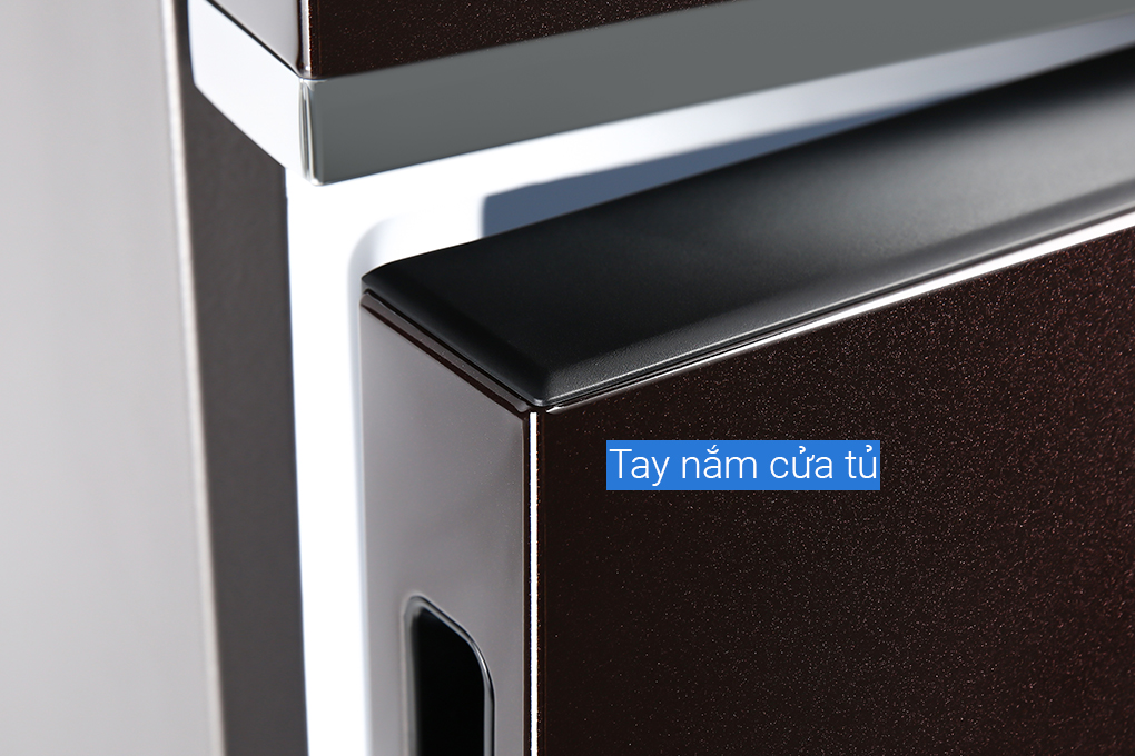 Tủ lạnh Samsung Inverter 307 lít RB30N4170BY/SV Màu Nâu