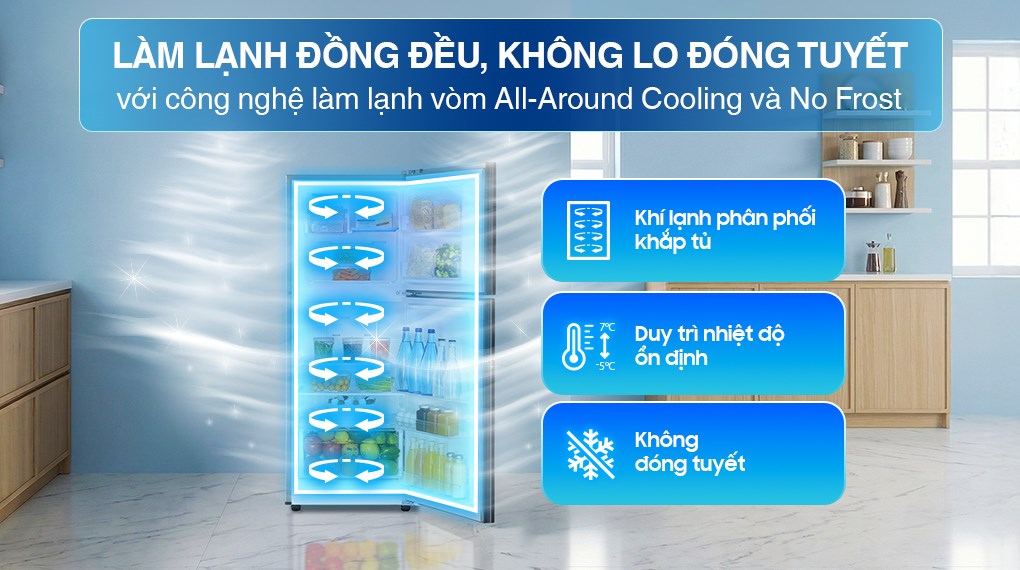 Tủ lạnh Samsung Inverter 208 lít RT20HAR8DBU/SV