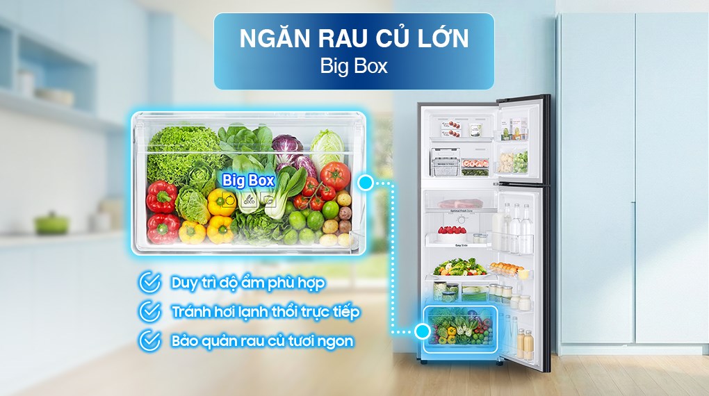 Tủ lạnh Samsung Inverter 236 lít RT22M4032BU/SV
