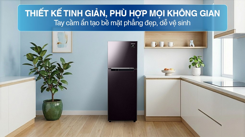 Tủ lạnh Samsung Inverter 236 lít RT22M4032BU/SV