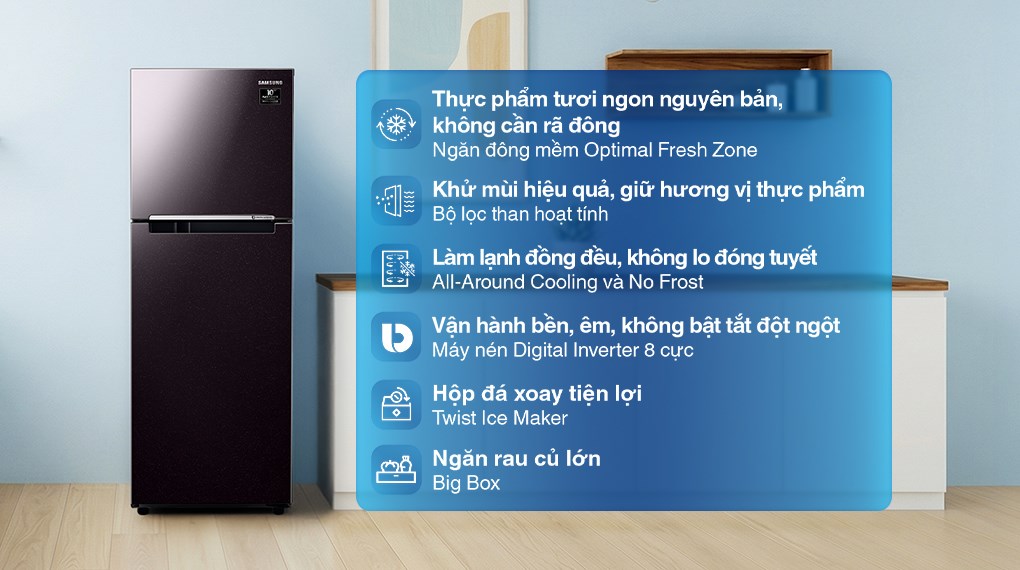 Tủ lạnh Samsung Inverter 236 lít RT22M4032BU/SV