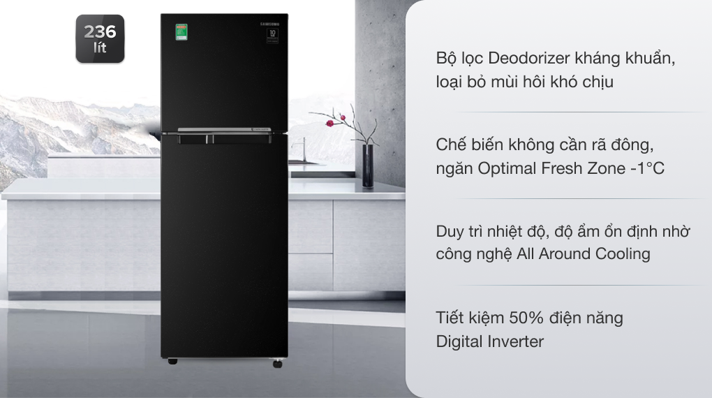 Tủ lạnh Samsung Inverter 236 lít RT22M4032BU/SV