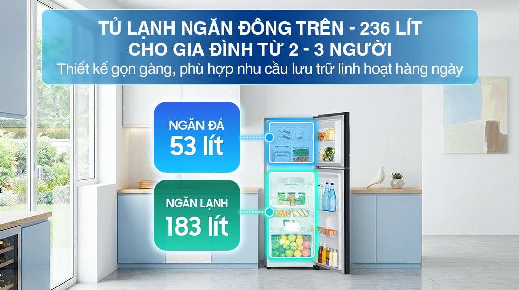 Tủ lạnh Samsung Inverter 236 lít RT22M4032BY/SV