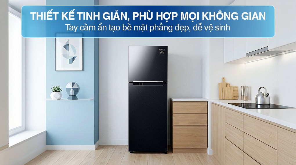 Tủ lạnh Samsung Inverter 236 lít RT22M4032BY/SV