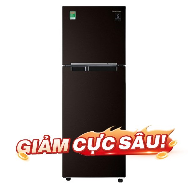 Tủ lạnh Samsung Inverter 236 lít RT22M4032BY/SV