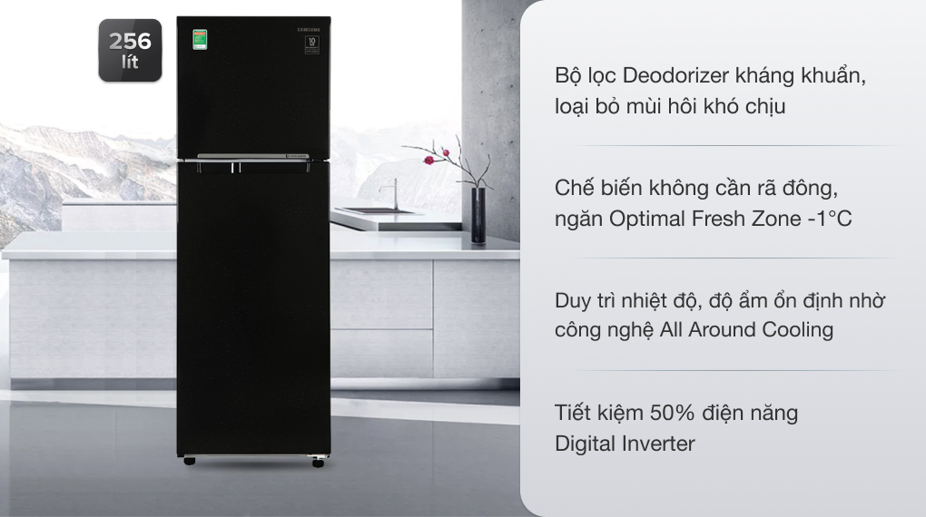 Tủ lạnh Samsung Inverter 256 lít RT25M4032BU/SV