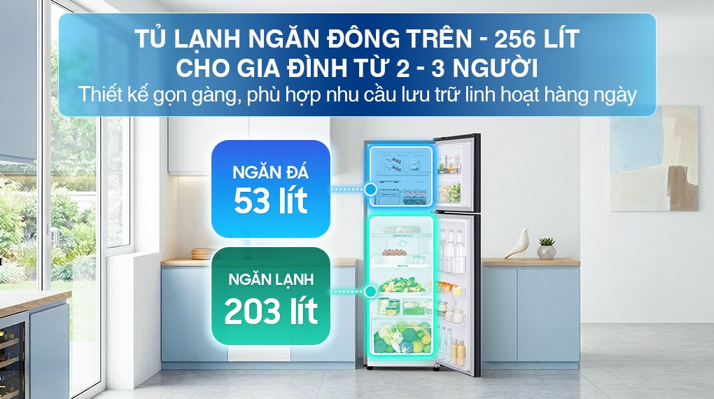 Tủ lạnh Samsung Inverter 256 lít RT25M4032BU/SV