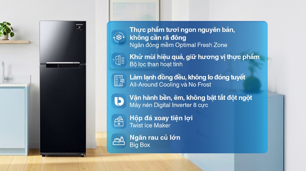 Tủ lạnh Samsung Inverter 256 lít RT25M4032BU/SV
