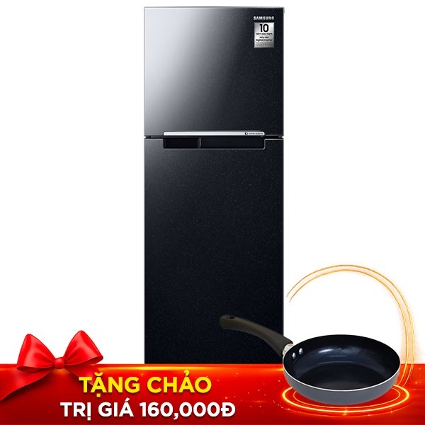 Samsung Inverter 256 lít RT25M4032BU/SV