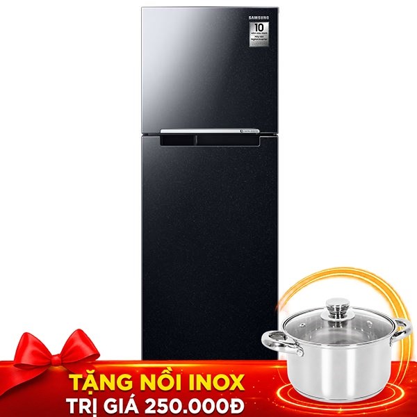 Tủ lạnh Samsung Inverter 256 lít RT25M4032BU/SV