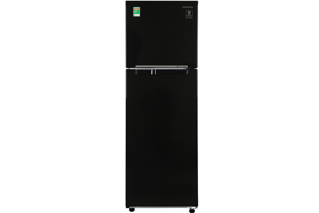 Bán tủ lạnh Samsung Inverter 256 lít RT25M4032BU/SV