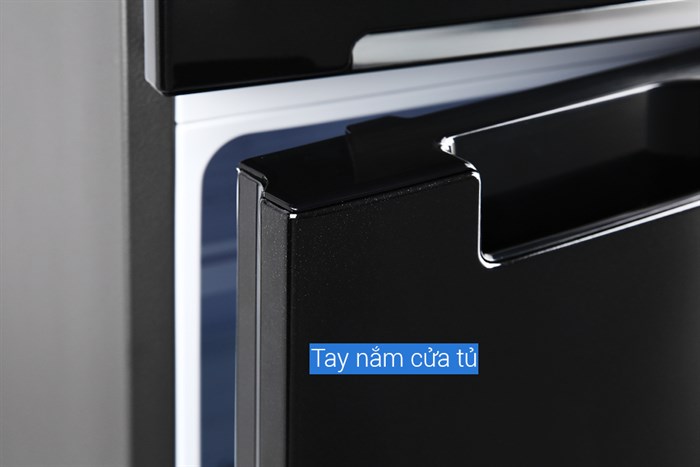Tủ lạnh Samsung Inverter 256 lít RT25M4032BU/SV Màu Đen