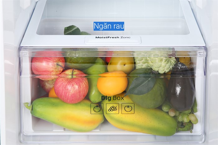 Tủ lạnh Samsung Inverter 256 lít RT25M4032BU/SV Màu Đen