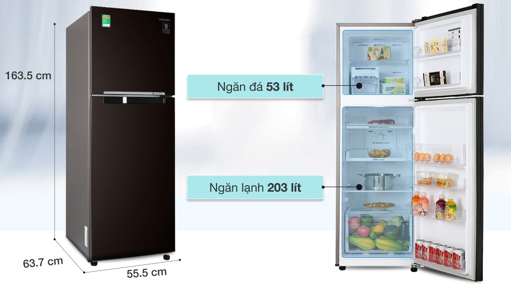 Tủ lạnh Samsung Inverter 256 lít RT25M4032BY/SV