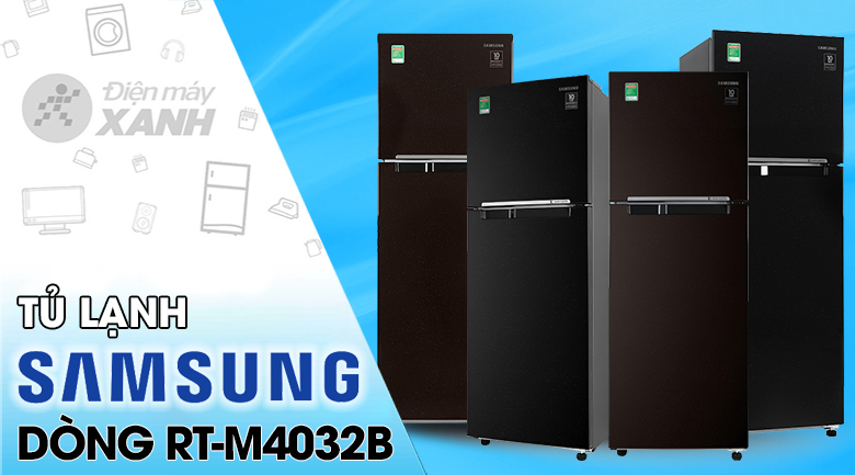 Tủ lạnh Samsung Inverter 256 lít RT25M4032BY/SV