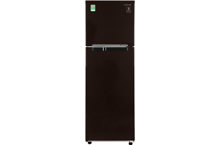 Tủ lạnh Samsung Inverter 256 lít RT25M4032BY/SV Màu Nâu