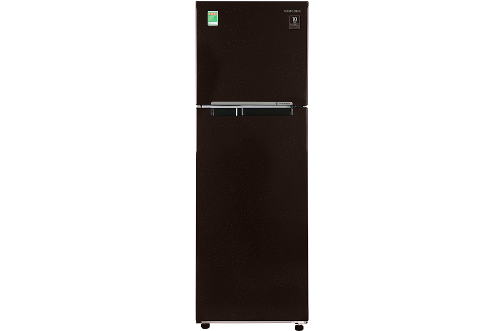 Tủ lạnh Samsung Inverter 256 lít RT25M4032BY/SV Màu Nâu