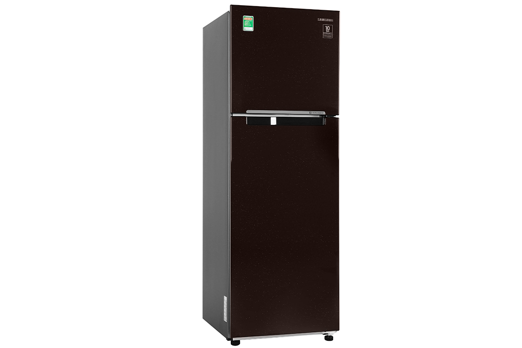 Tủ lạnh Samsung Inverter 256 lít RT25M4032BY/SV Màu Nâu