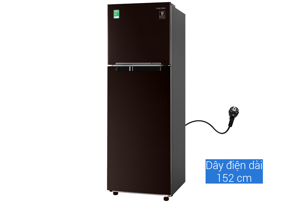 Tủ lạnh Samsung Inverter 256 lít RT25M4032BY/SV Màu Nâu