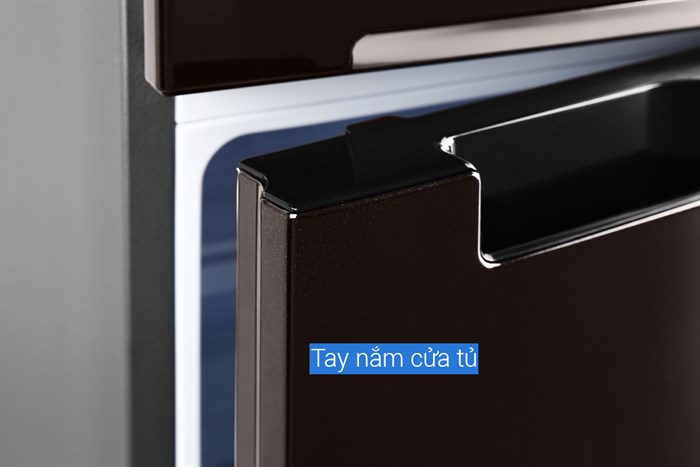 Tủ lạnh Samsung Inverter 299 lít RT29K5532BY/SV Màu Nâu